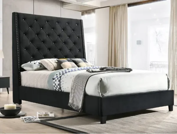 Queen/King Black Velvet with sparkle Bed